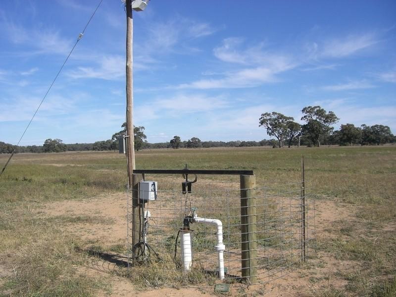 279 Dahwilly Lane, Deniliquin NSW 2710