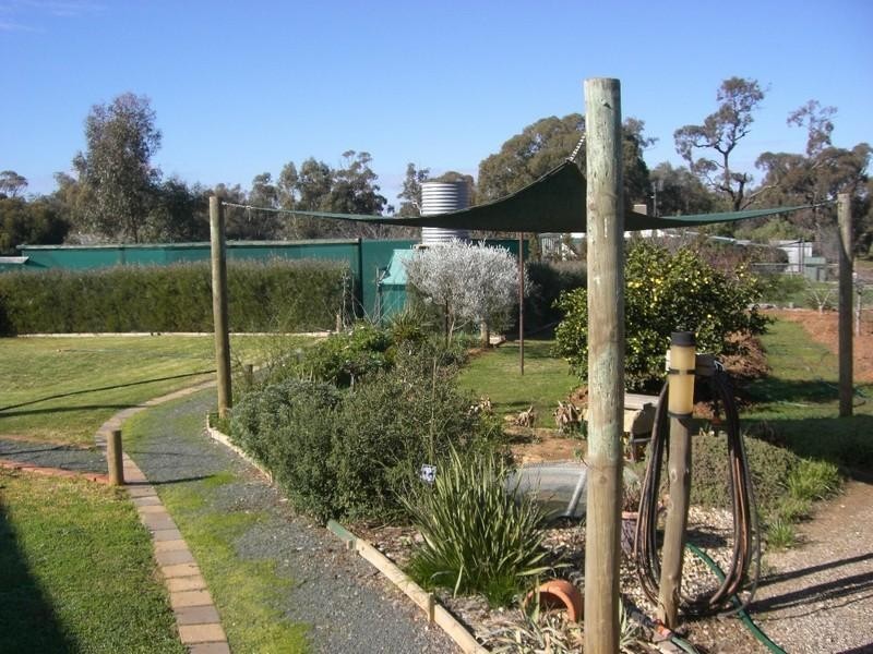 59 Livingston Street, Mathoura NSW 2710