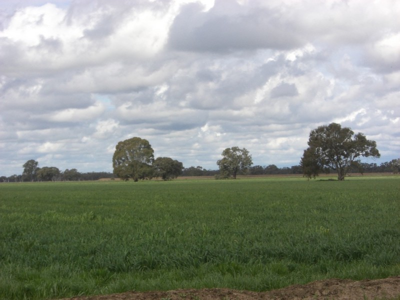 Deniliquin NSW 2710