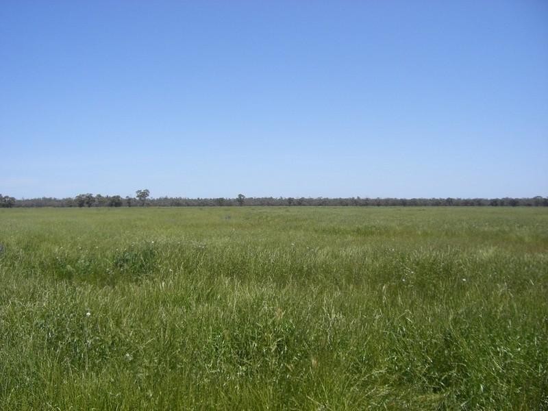 Barham NSW 2732