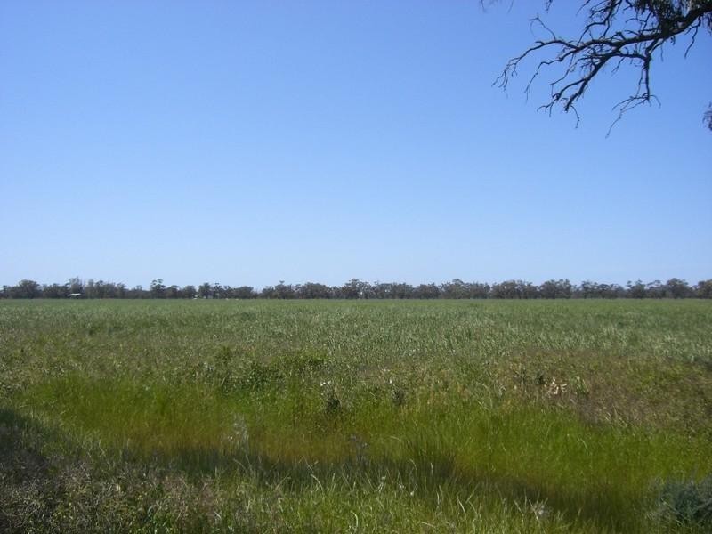 Barham NSW 2732
