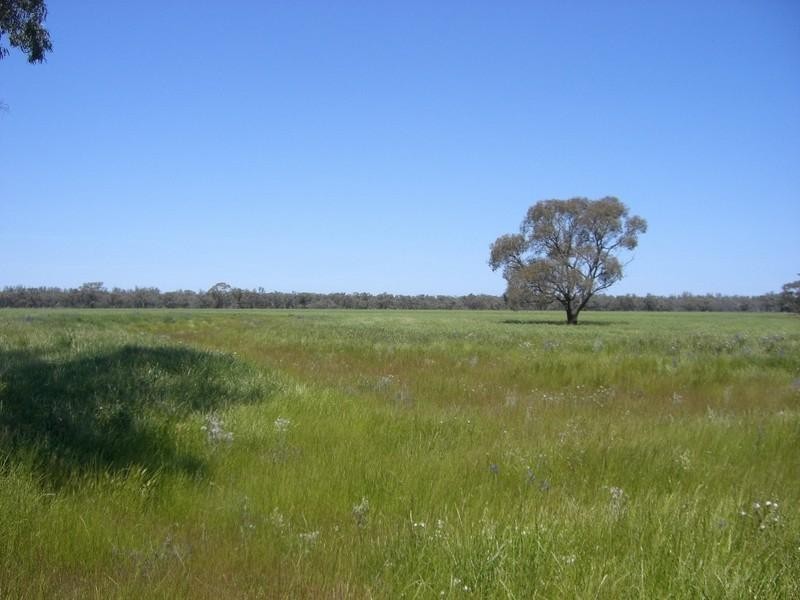 Barham NSW 2732