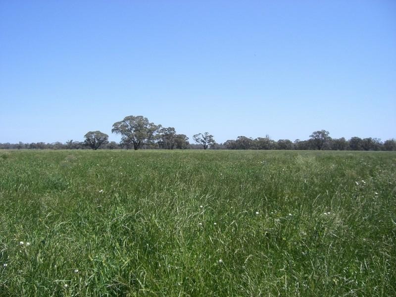 Barham NSW 2732
