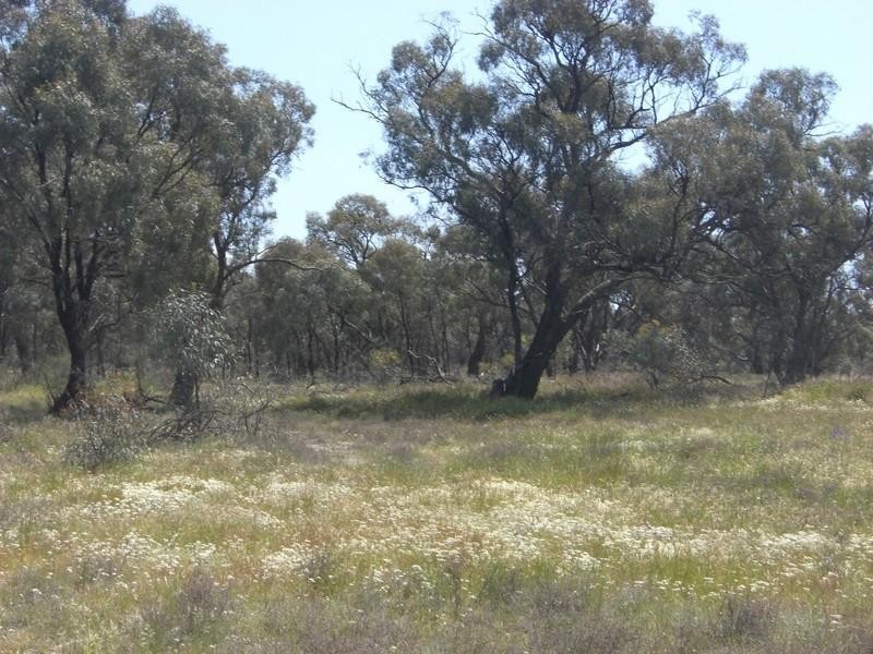 Barham NSW 2732