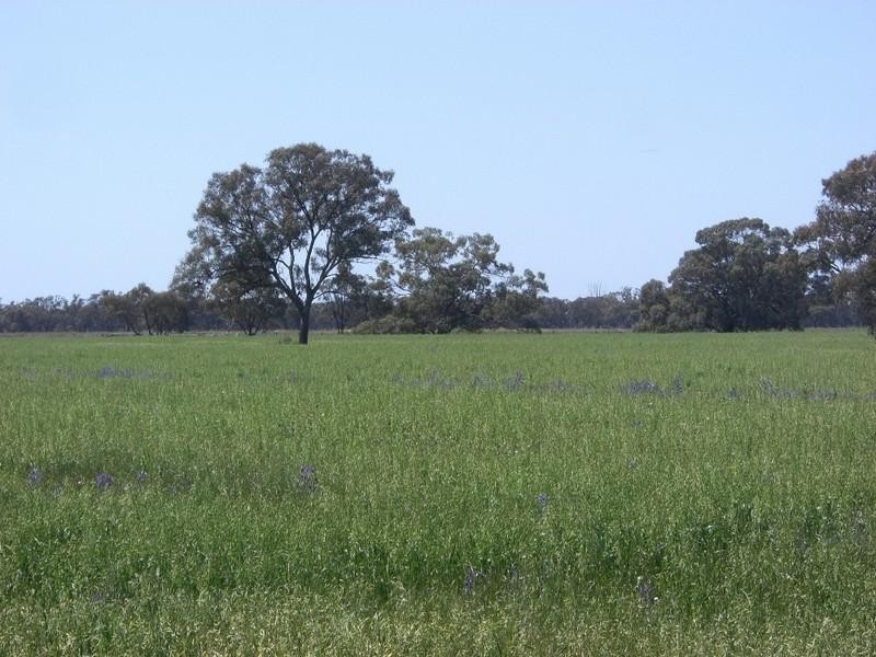 Barham NSW 2732
