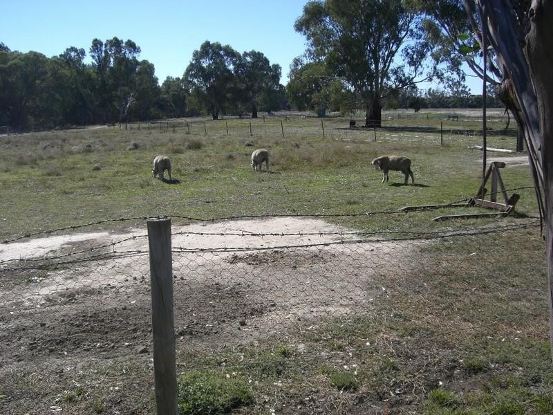 7 Dahwilly Lane, Deniliquin NSW 2710