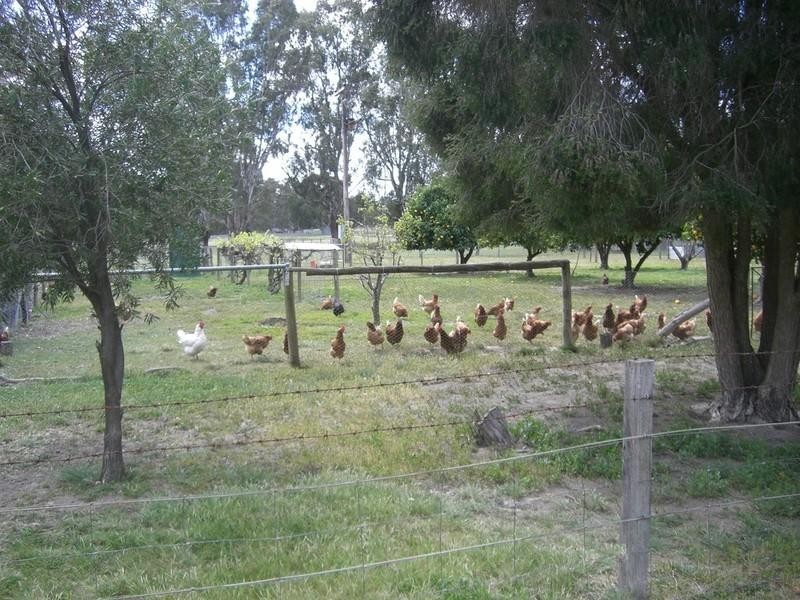 7 Dahwilly Lane, Deniliquin NSW 2710