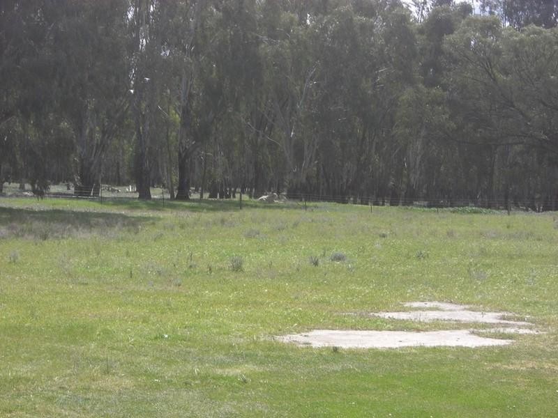 7 Dahwilly Lane, Deniliquin NSW 2710