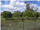 7 Dahwilly Lane, Deniliquin NSW 2710