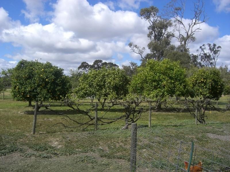 7 Dahwilly Lane, Deniliquin NSW 2710