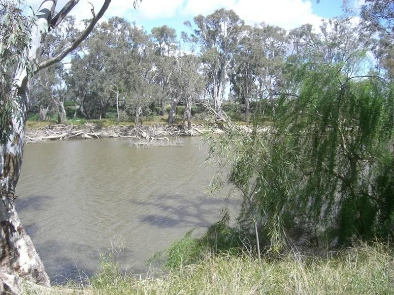 7 Dahwilly Lane, Deniliquin NSW 2710