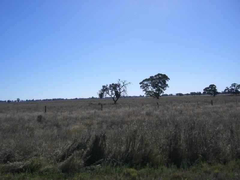Wakool NSW 2710