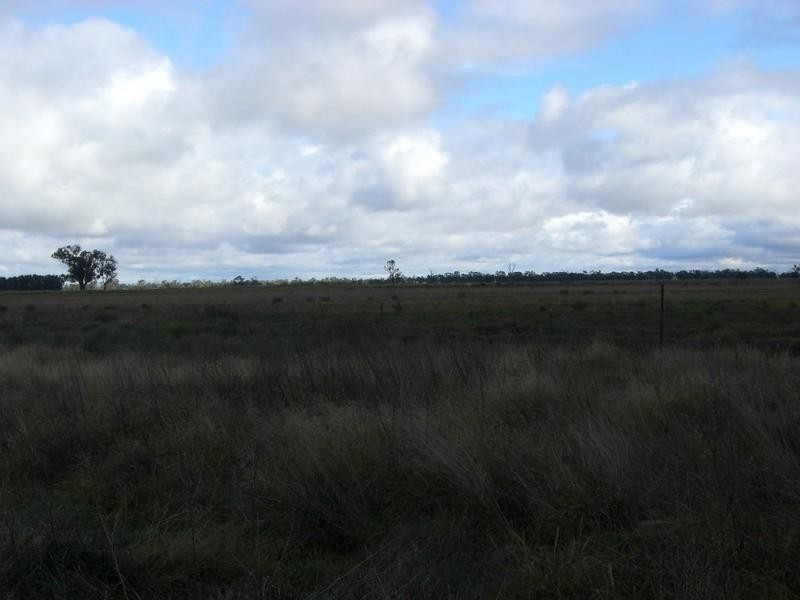 96 Warragoon Road, Deniliquin NSW 2710