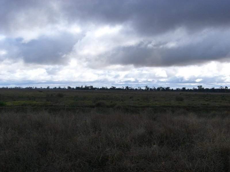 96 Warragoon Road, Deniliquin NSW 2710