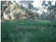 00 “Gathen”, Deniliquin NSW 2710