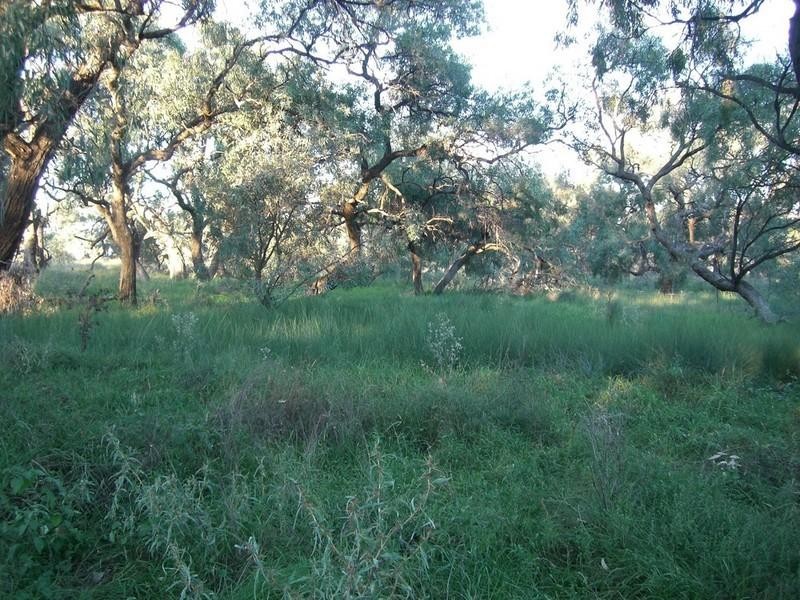 00 “Gathen”, Deniliquin NSW 2710