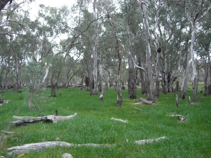 00 Malley Downs, Swan Hill VIC 3585