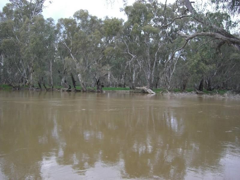 00 Malley Downs, Swan Hill VIC 3585