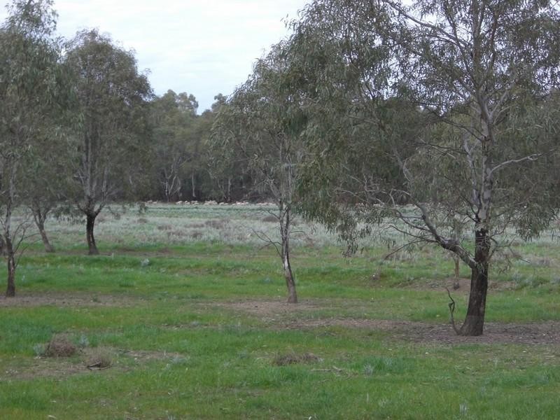 00 Malley Downs, Swan Hill VIC 3585