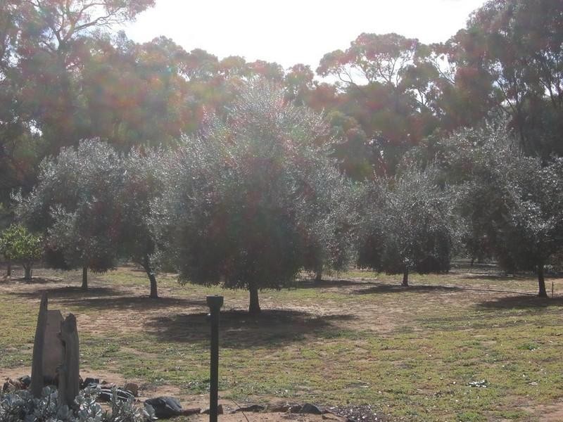 10/11 Cobb Highway, Booroorban NSW 2710