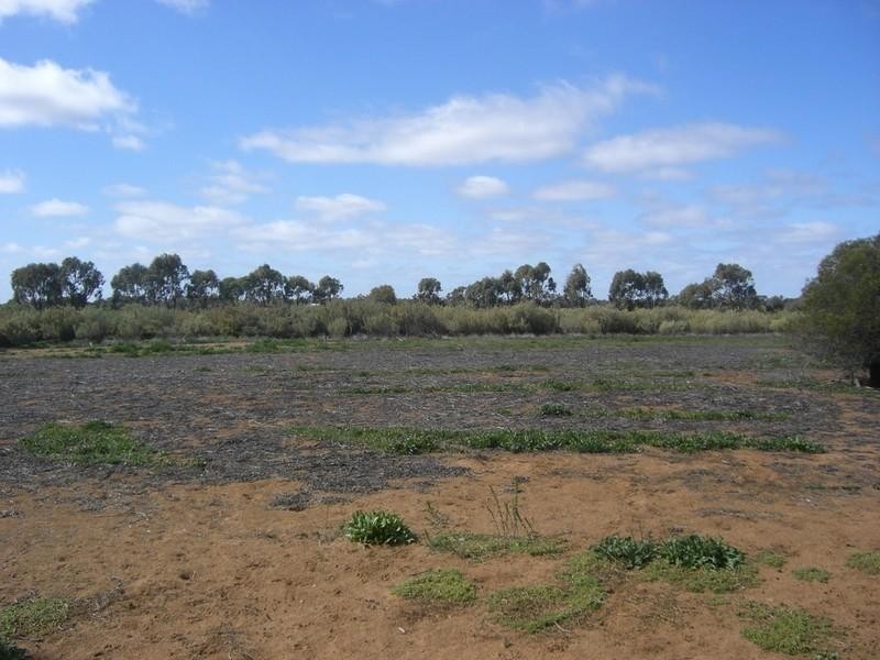 10/11 Cobb Highway, Booroorban NSW 2710
