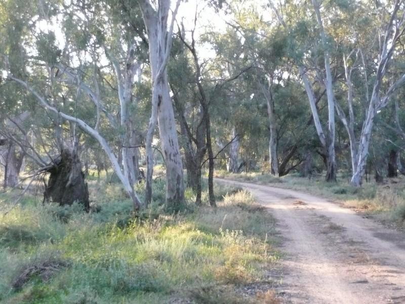 00 Thelangerin Station, Hay NSW 2711