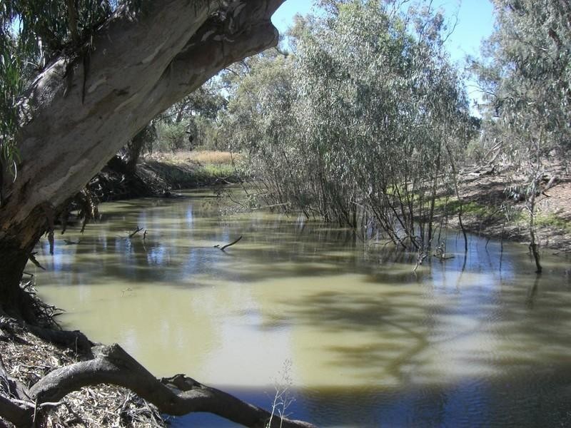00 Thelangerin Station, Hay NSW 2711