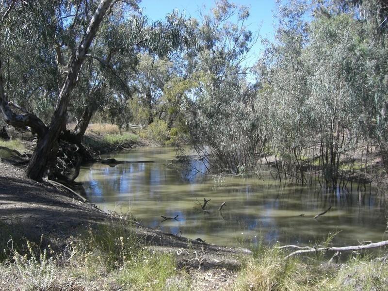 00 Thelangerin Station, Hay NSW 2711