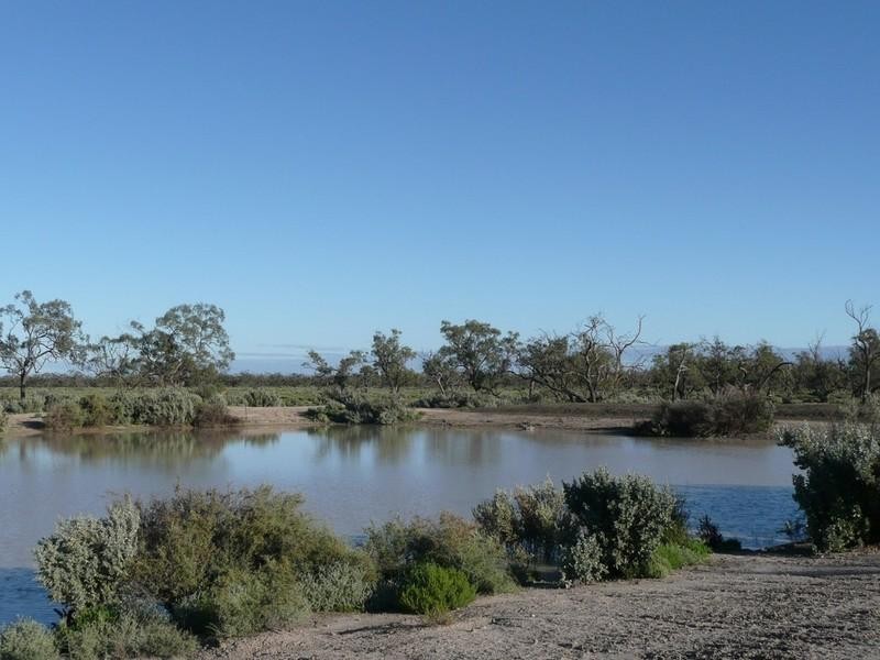 00 Thelangerin Station, Hay NSW 2711