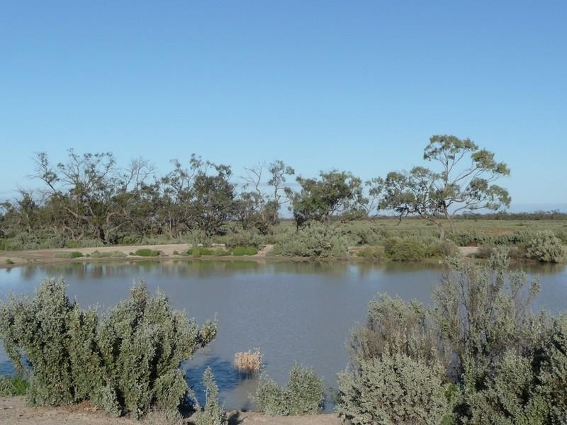 00 Thelangerin Station, Hay NSW 2711