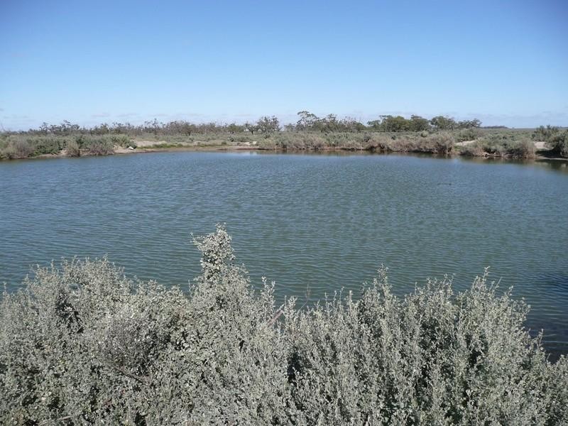 00 Thelangerin Station, Hay NSW 2711