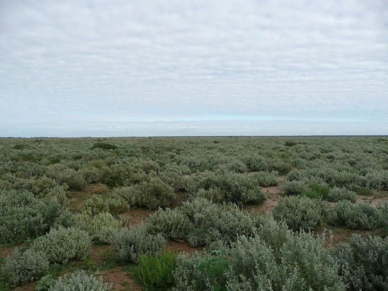 00 Thelangerin Station, Hay NSW 2711