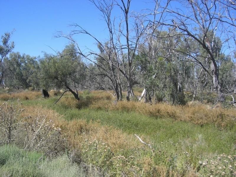 00 Thelangerin Station, Hay NSW 2711