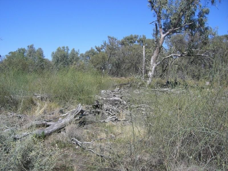 00 Thelangerin Station, Hay NSW 2711