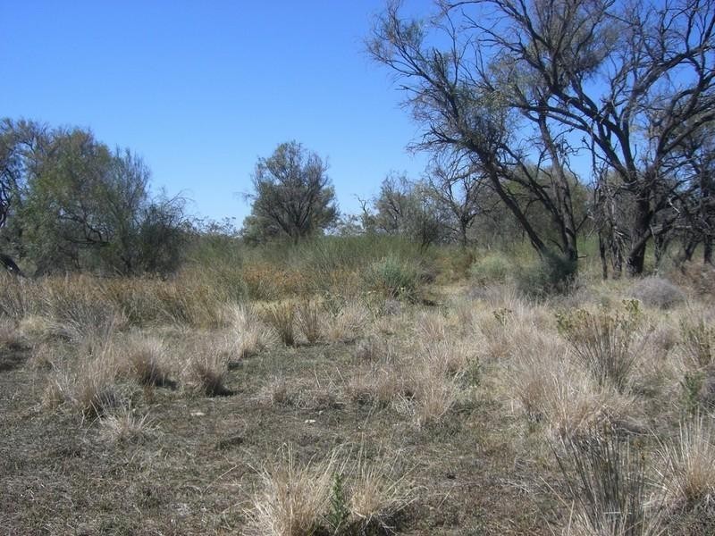 00 Thelangerin Station, Hay NSW 2711