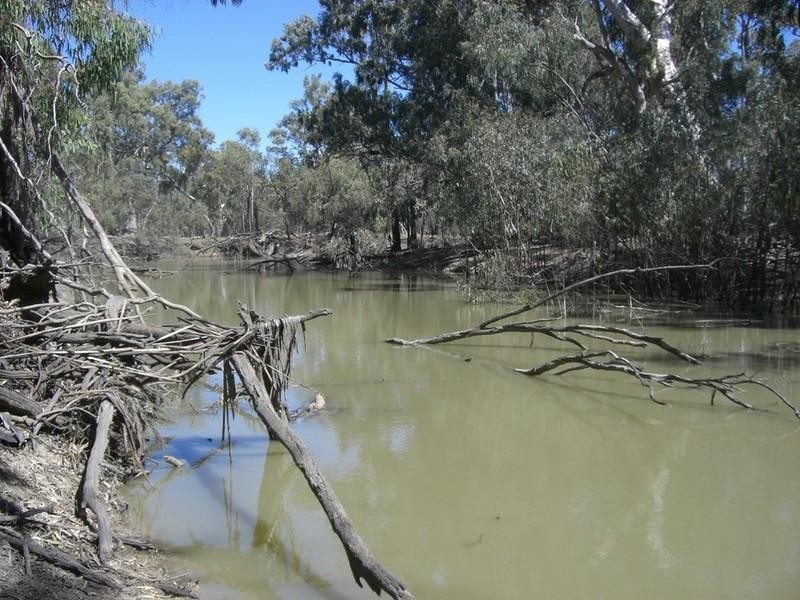 00 Thelangerin Station, Hay NSW 2711