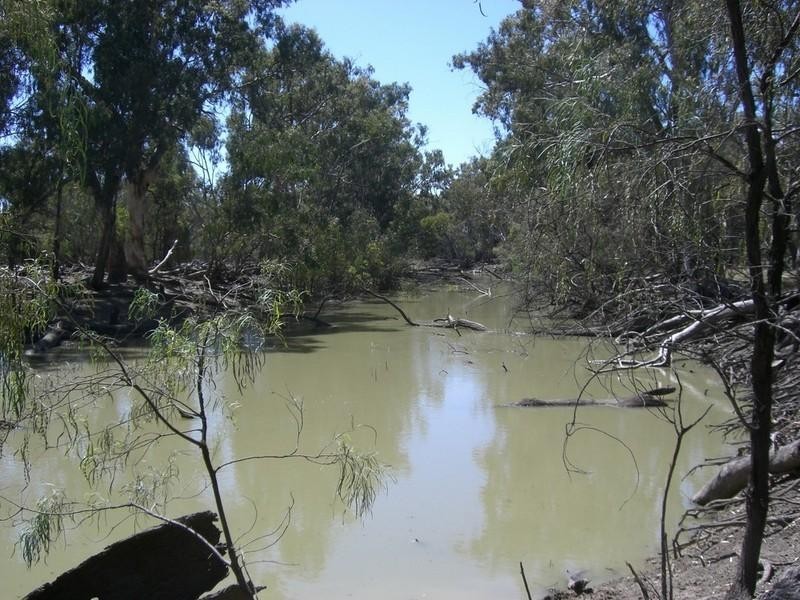 00 Thelangerin Station, Hay NSW 2711