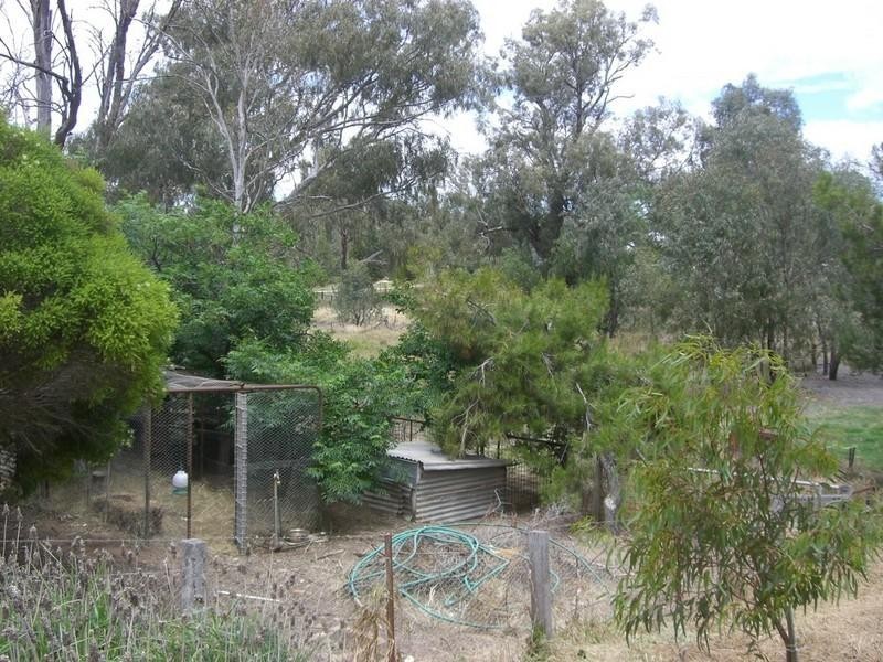 LOT 1 Mackenzie Street, Conargo NSW 2710