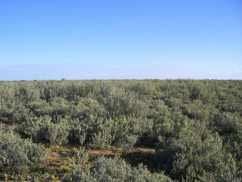 00 Wyoming Station, Hay NSW 2711