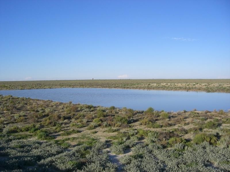 00 Wyoming Station, Hay NSW 2711