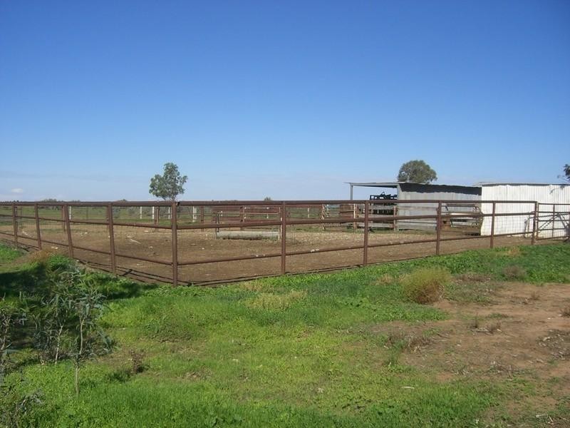 00 Wyoming Station, Hay NSW 2711