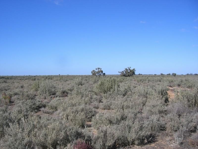 00 Newmarket, Maude Road, Hay NSW 2711