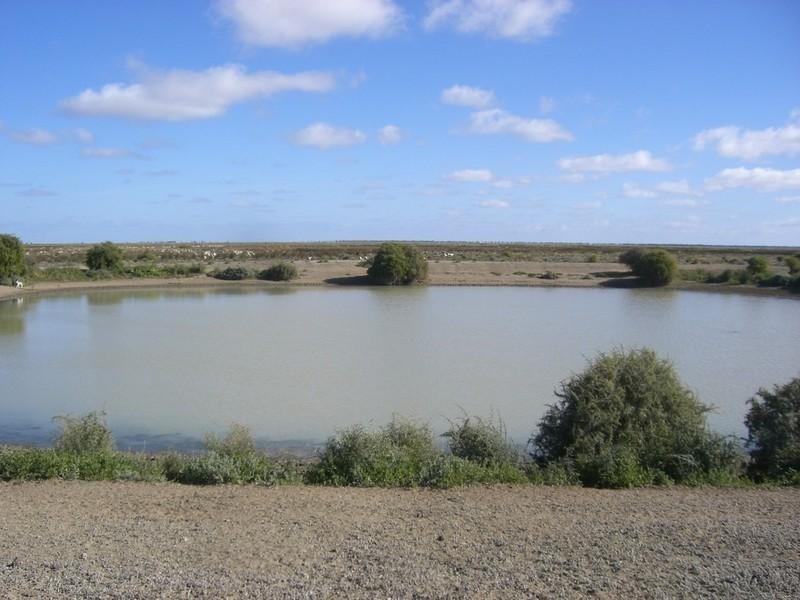 00 Newmarket, Maude Road, Hay NSW 2711