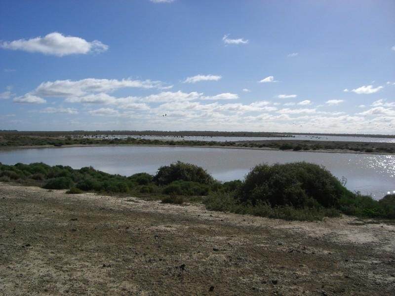 00 Newmarket, Maude Road, Hay NSW 2711