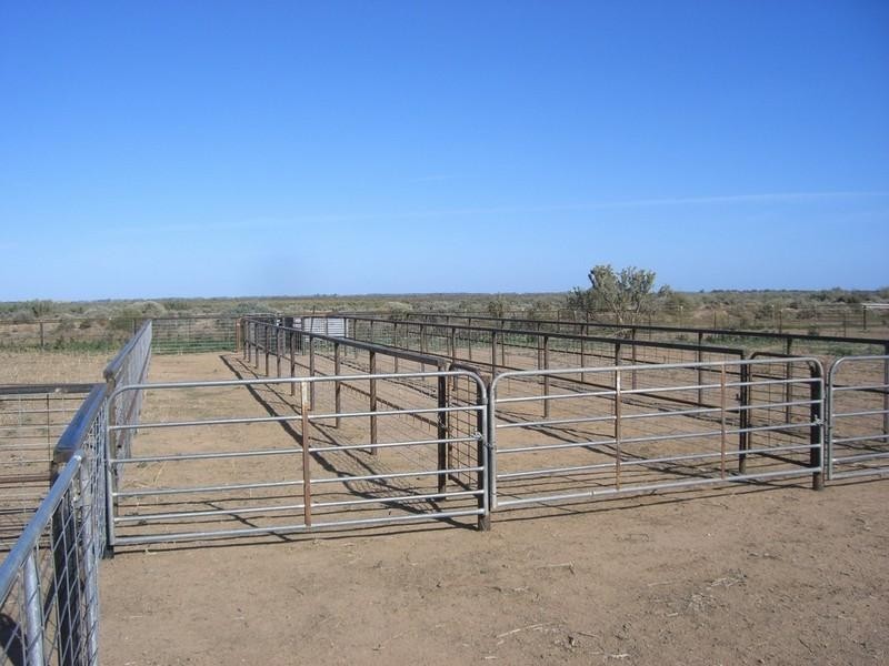 00 Newmarket, Maude Road, Hay NSW 2711