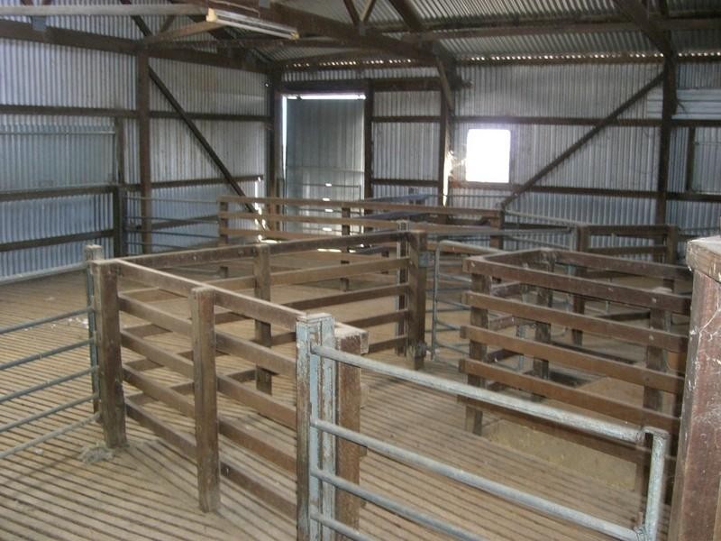 00 Newmarket, Maude Road, Hay NSW 2711