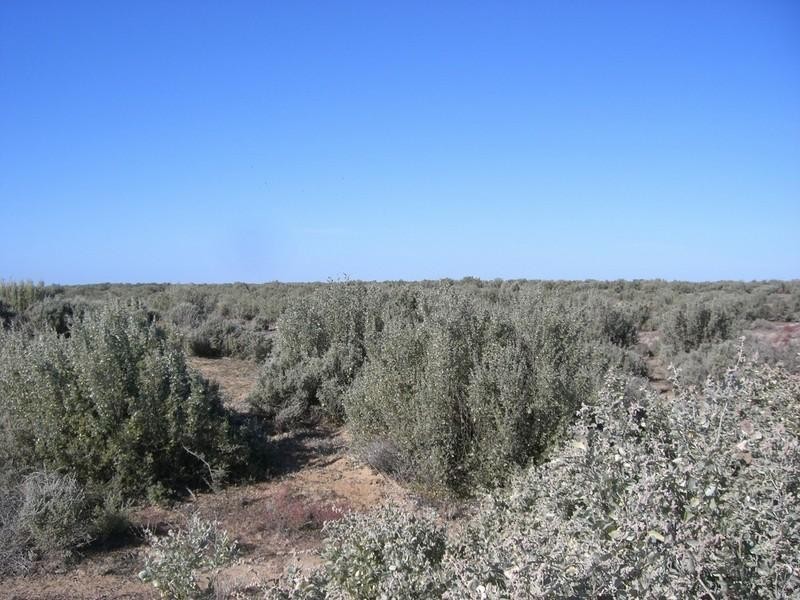 00 Newmarket, Maude Road, Hay NSW 2711