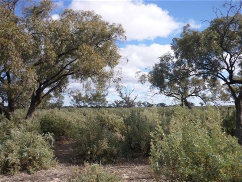 00 Newmarket, Maude Road, Hay NSW 2711