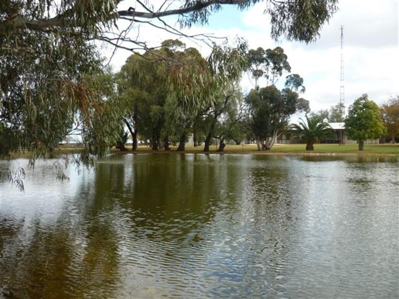 00 Newmarket, Maude Road, Hay NSW 2711