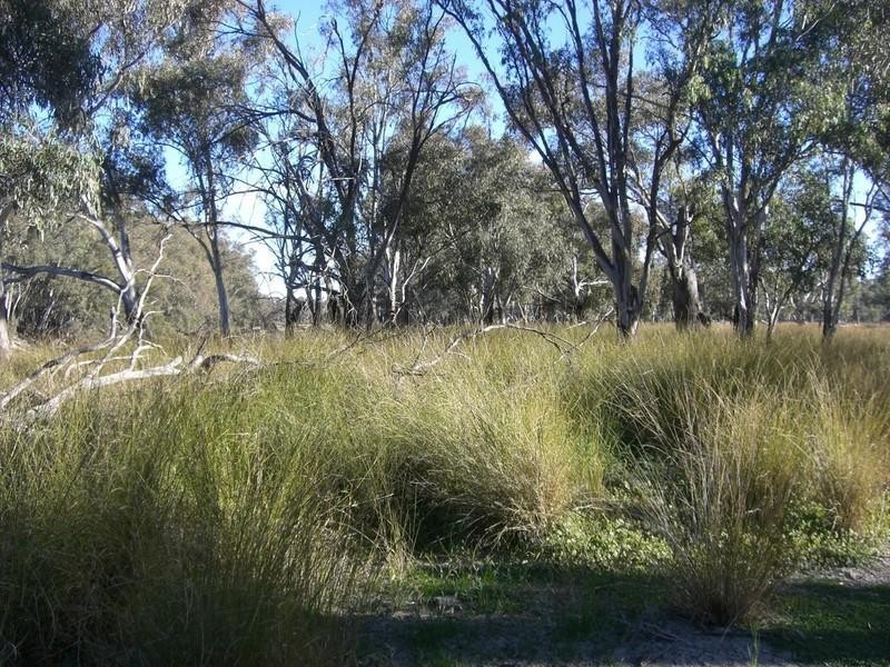 00 Newmarket, Maude Road, Hay NSW 2711